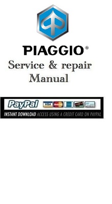 Product picture Download & Service manual Piaggio Beverly 250 USA 